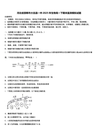 河北省邯郸市大名县一中2025年生物高一下期末监测模拟试题含解析