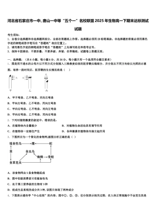 河北省石家庄市一中、唐山一中等“五个一”名校联盟2025年生物高一下期末达标测试试题含解析