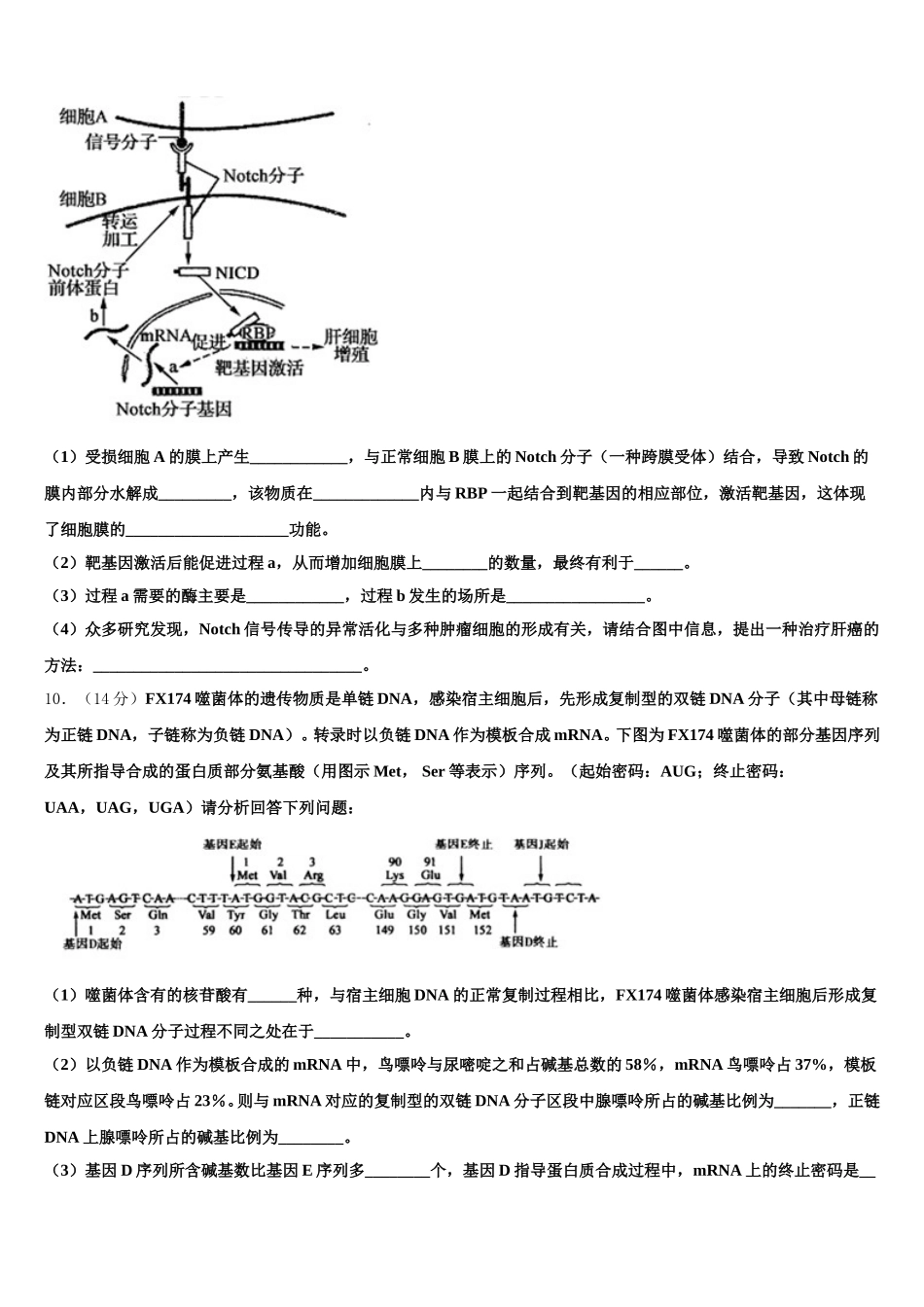 2025年河北师大附中生物高一下期末经典模拟试题含解析_第3页