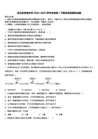 河北省阜城中学 2024-2025学年生物高一下期末检测模拟试题含解析