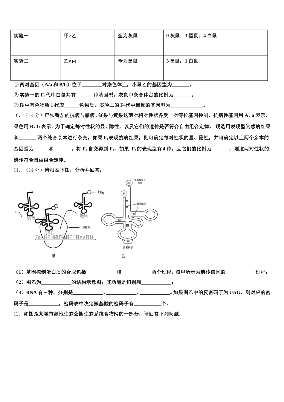 2025届河北省石家庄市正定县第一中学生物高一第二学期期末调研模拟试题含解析_第3页