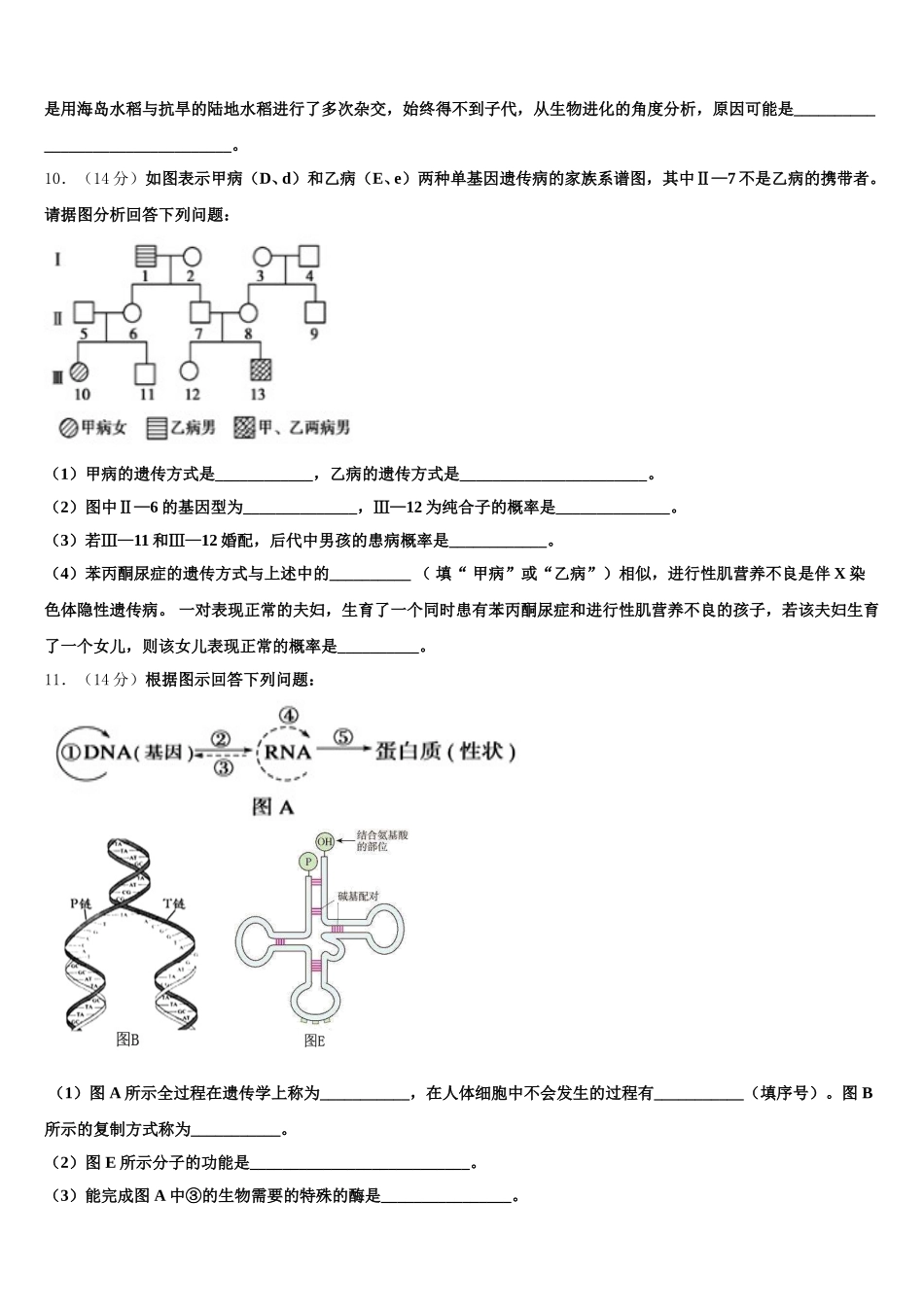 河北省任丘市第一中学2025届高一下生物期末考试模拟试题含解析_第3页