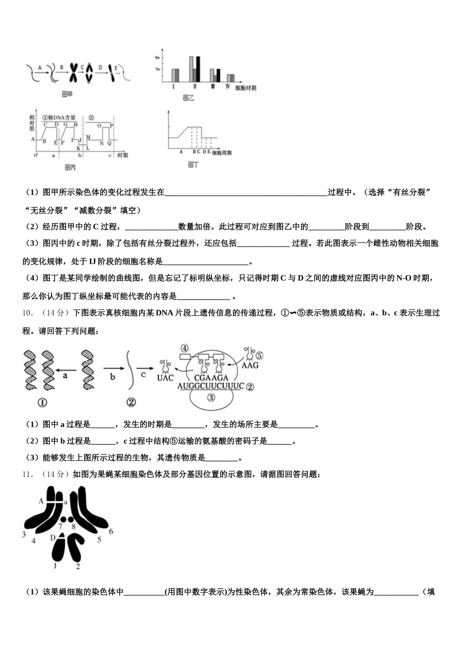 河北省承德实验中学2024-2025学年高一生物第二学期期末质量检测试题含解析_第3页