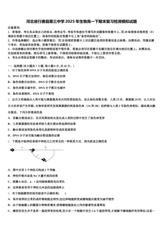 河北省行唐县第三中学2025年生物高一下期末复习检测模拟试题含解析