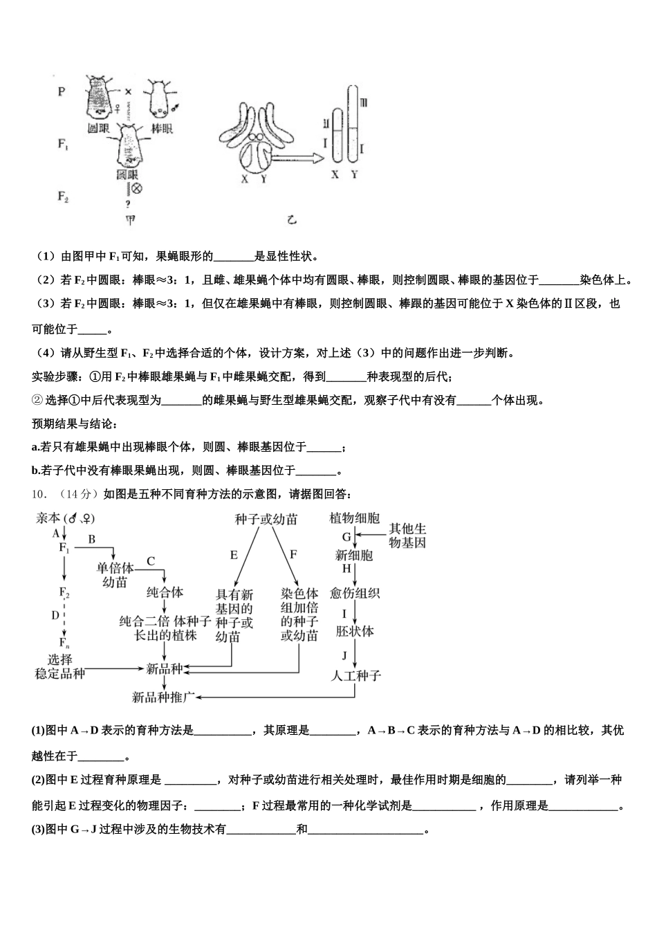 2024-2025学年河北省五个一联盟高一生物第二学期期末质量检测模拟试题含解析_第3页