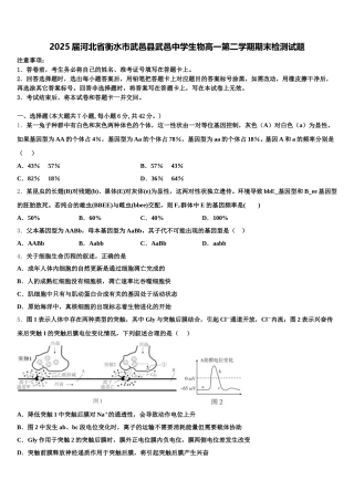 2025届河北省衡水市武邑县武邑中学生物高一第二学期期末检测试题含解析