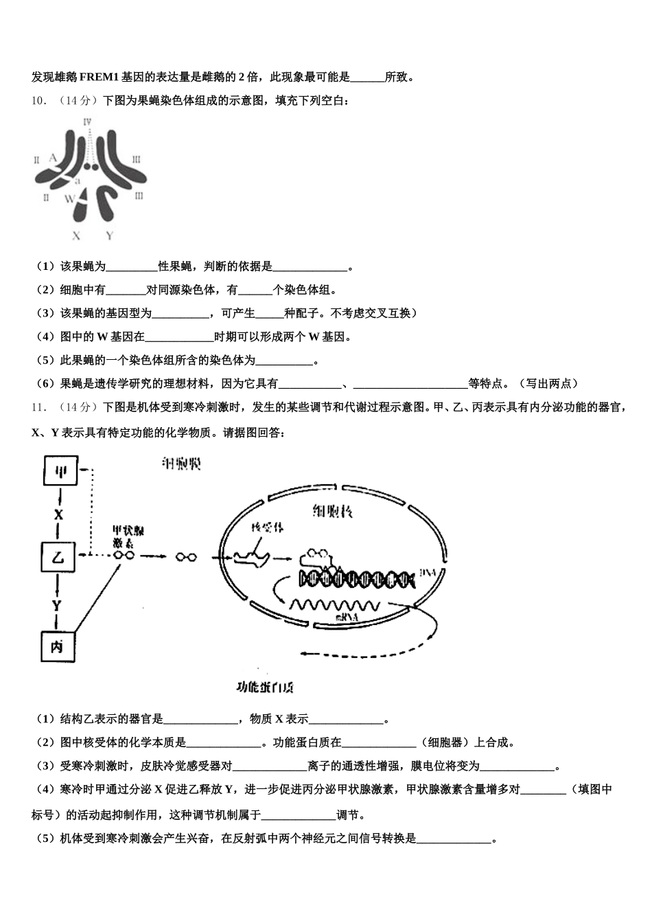 2024-2025学年沧州市重点中学生物高一第二学期期末达标检测模拟试题含解析_第3页