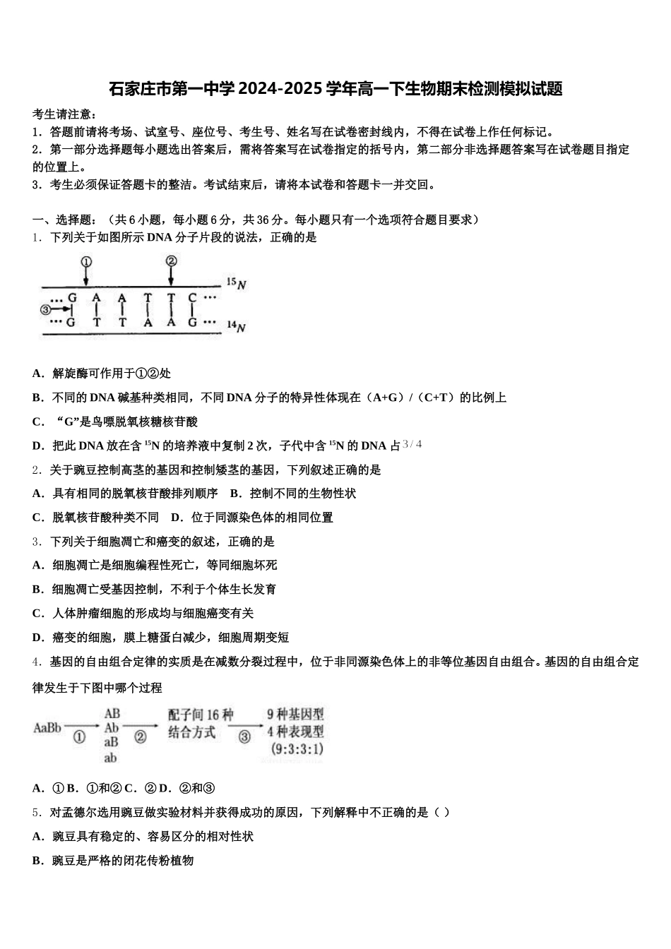 石家庄市第一中学2024-2025学年高一下生物期末检测模拟试题含解析_第1页