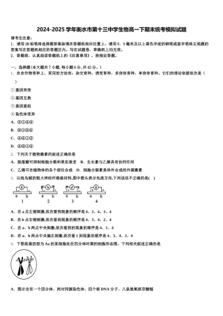 2024-2025学年衡水市第十三中学生物高一下期末统考模拟试题含解析