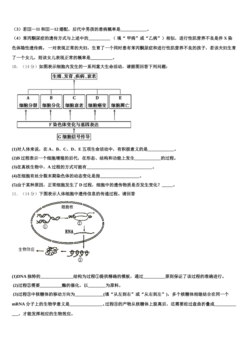 2025届河北省衡水中学滁州分校生物高一下期末质量检测模拟试题含解析_第3页