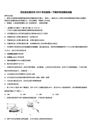 河北省石家庄市2025年生物高一下期末考试模拟试题含解析