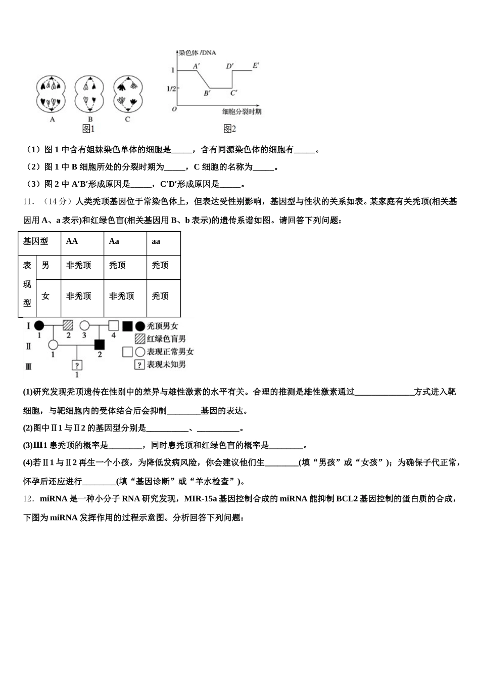 2025届河北阜平中学生物高一第二学期期末复习检测模拟试题含解析_第3页