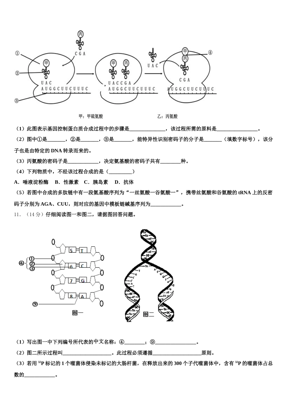 2025年河北省邢台市清河县清河中学高一下生物期末统考试题含解析_第3页