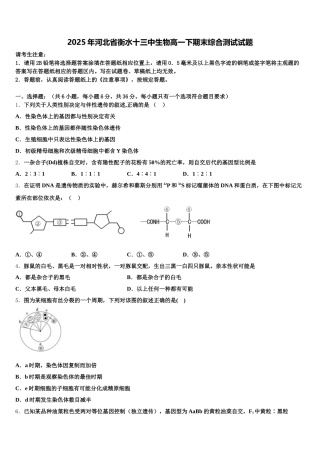 2025年河北省衡水十三中生物高一下期末综合测试试题含解析