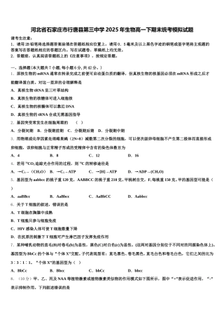 河北省石家庄市行唐县第三中学2025年生物高一下期末统考模拟试题含解析