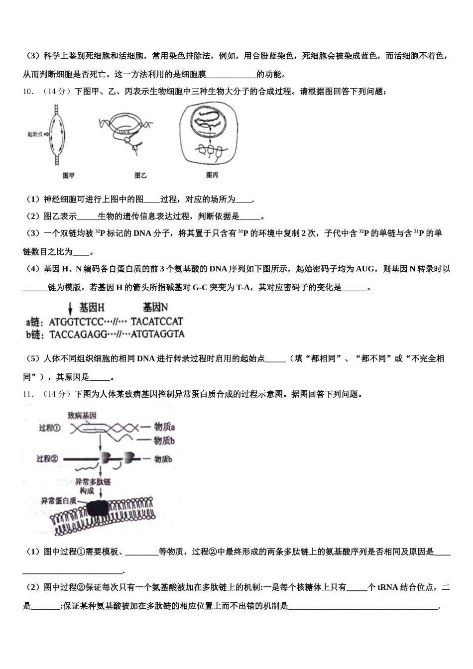 河北省石家庄市辛集中学2025届高一下生物期末学业质量监测模拟试题含解析_第3页