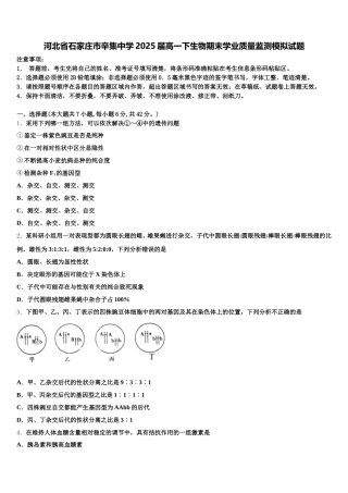 河北省石家庄市辛集中学2025届高一下生物期末学业质量监测模拟试题含解析