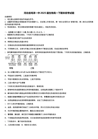 河北省鸡泽一中2025届生物高一下期末统考试题含解析