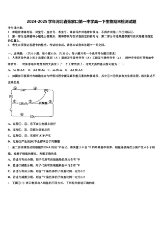 2024-2025学年河北省张家口第一中学高一下生物期末检测试题含解析