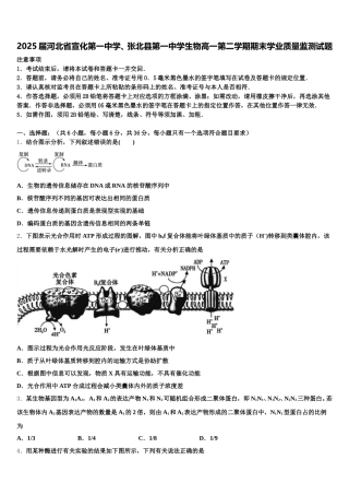 2025届河北省宣化第一中学、张北县第一中学生物高一第二学期期末学业质量监测试题含解析
