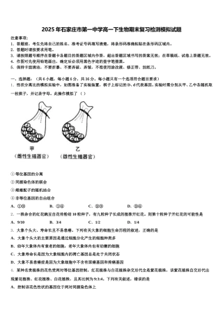 2025年石家庄市第一中学高一下生物期末复习检测模拟试题含解析