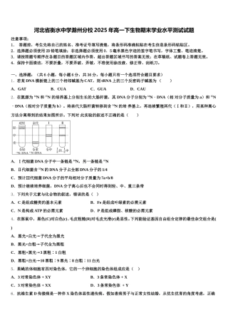 河北省衡水中学滁州分校2025年高一下生物期末学业水平测试试题含解析