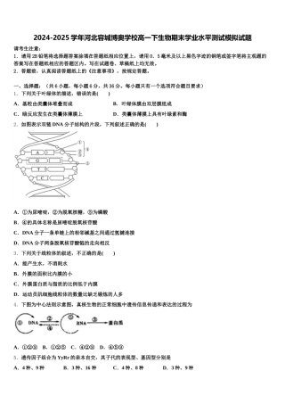 2024-2025学年河北容城博奥学校高一下生物期末学业水平测试模拟试题含解析