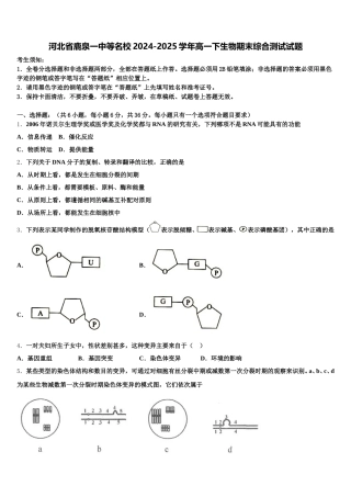 河北省鹿泉一中等名校2024-2025学年高一下生物期末综合测试试题含解析