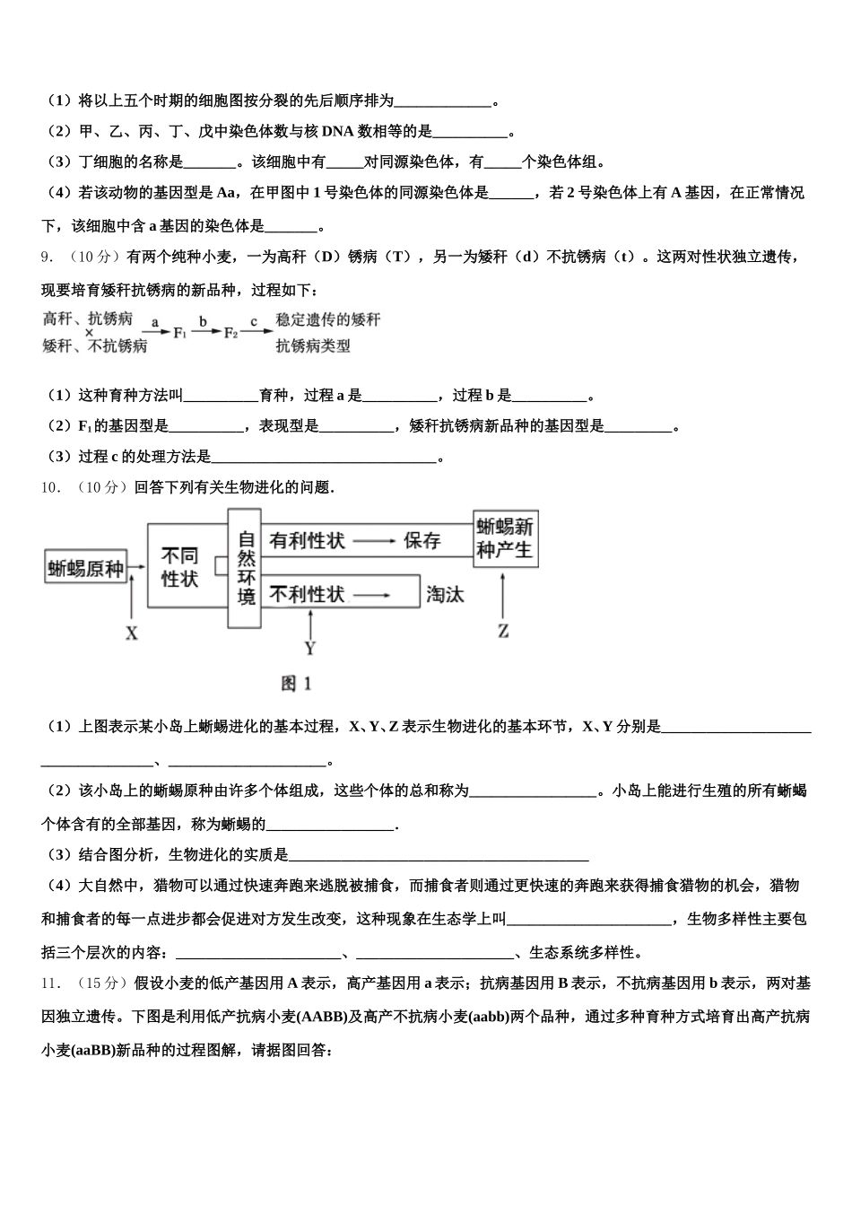 河北省石家庄市晋州一中2024-2025学年高一生物第二学期期末经典模拟试题含解析_第3页