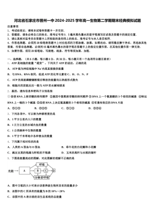 河北省石家庄市晋州一中2024-2025学年高一生物第二学期期末经典模拟试题含解析