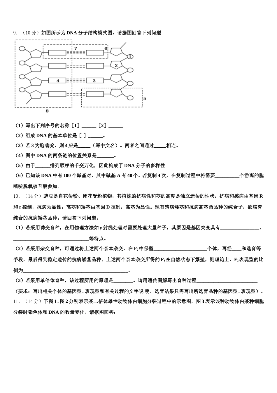 2024-2025学年河北省内丘中学高一下生物期末联考试题含解析_第3页