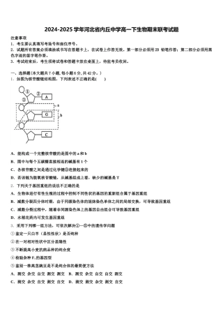 2024-2025学年河北省内丘中学高一下生物期末联考试题含解析