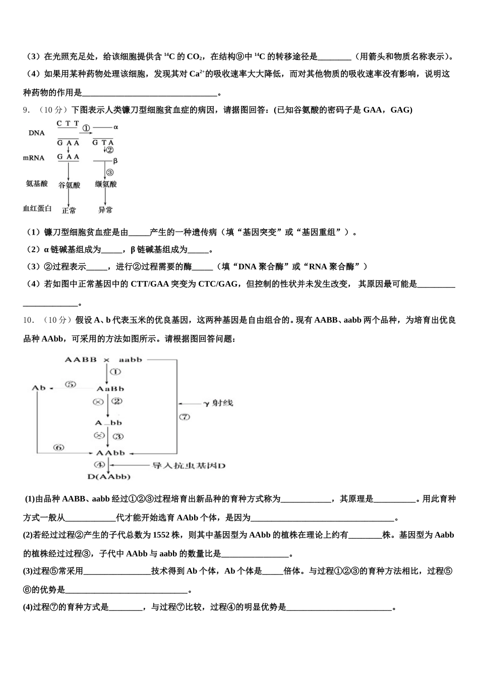 2024-2025学年河北省石家庄市外国语学校高一下生物期末综合测试模拟试题含解析_第3页
