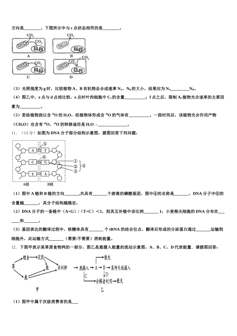 河北省八所重点中学2024-2025学年生物高一下期末学业水平测试试题含解析_第3页