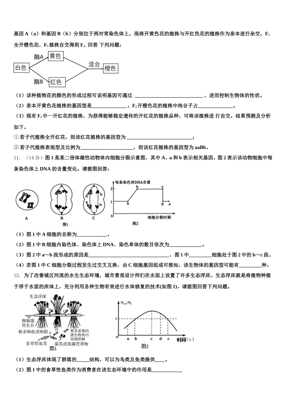 河北省任丘市第一中学2024-2025学年高一生物第二学期期末调研模拟试题含解析_第3页