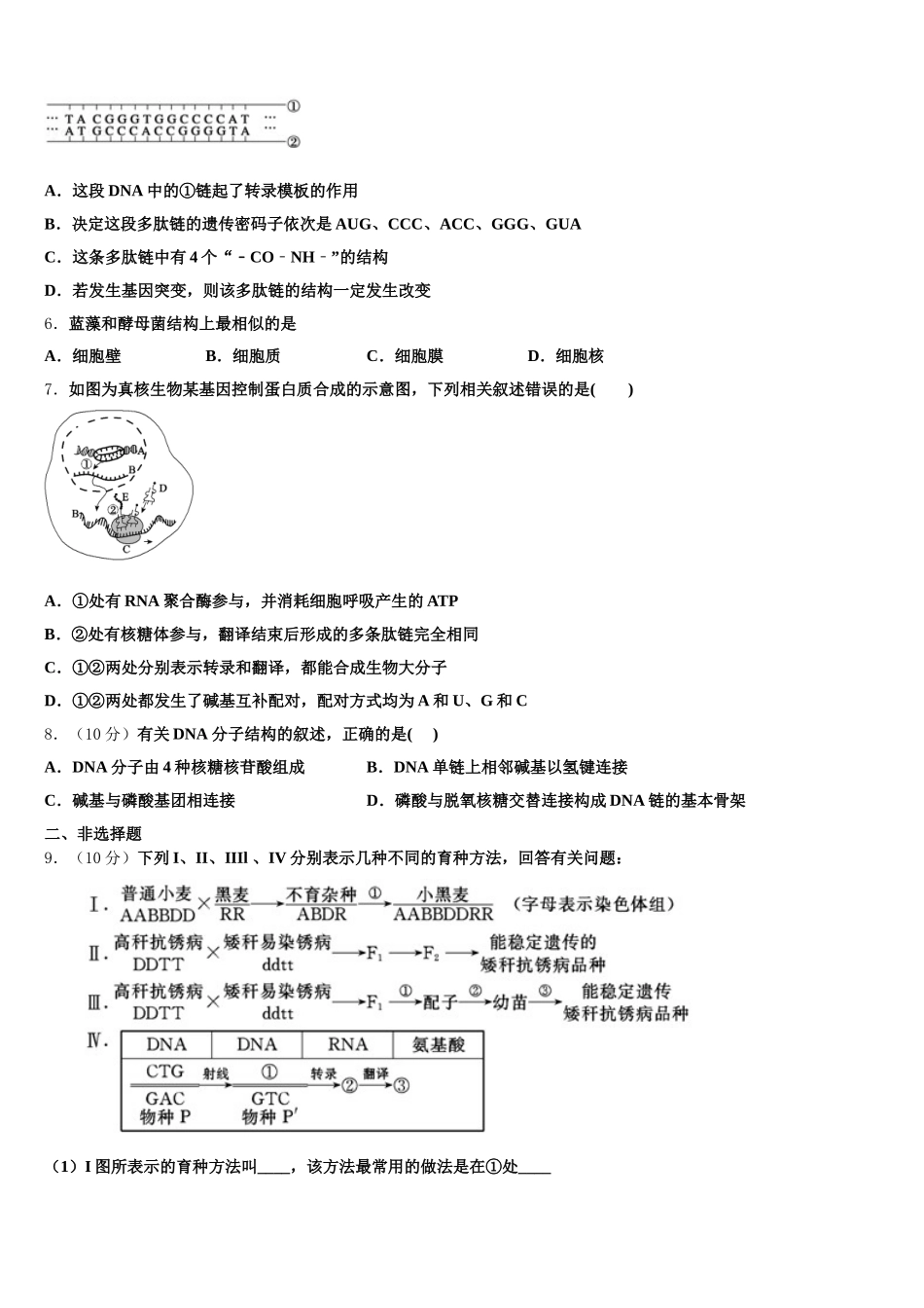 2025届河北省保定市涞水县波峰中学生物高一第二学期期末统考模拟试题含解析_第2页