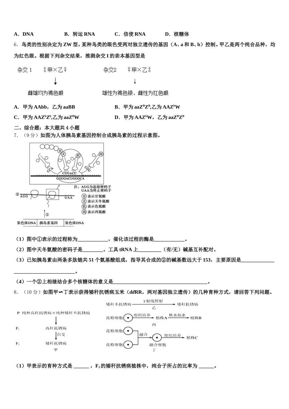 河北省磁县滏滨中学2025年生物高一下期末监测试题含解析_第2页