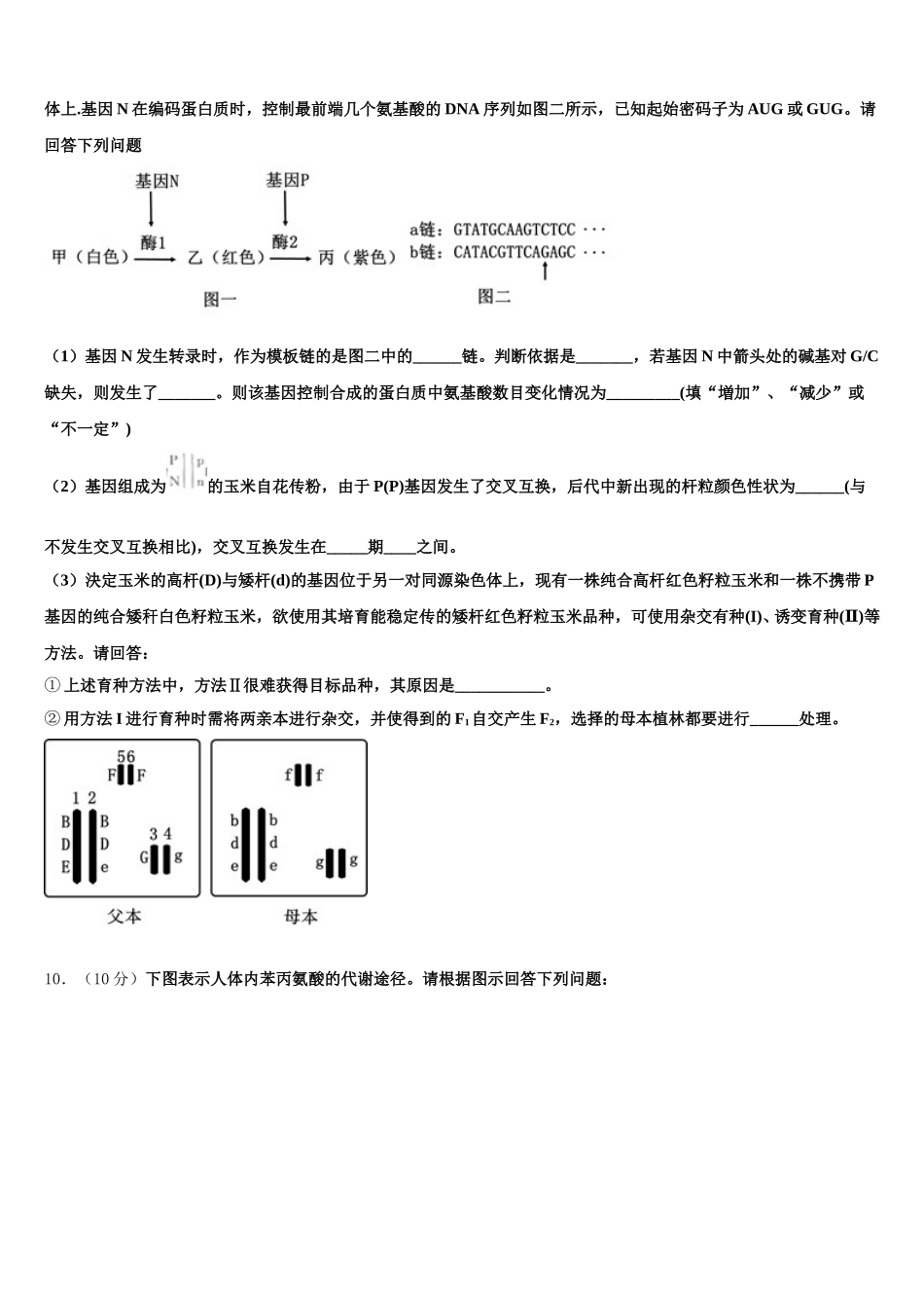 2025届河北省藁城市第一中学生物高一下期末统考试题含解析_第3页