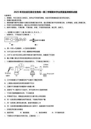 2025年河北省石家庄生物高一第二学期期末学业质量监测模拟试题含解析