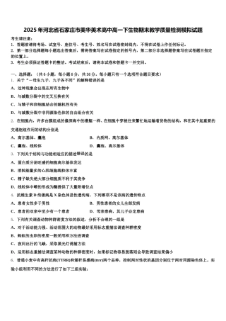 2025年河北省石家庄市美华美术高中高一下生物期末教学质量检测模拟试题含解析