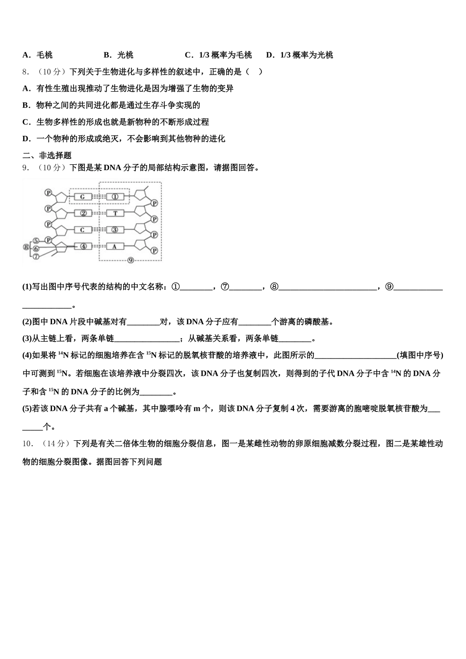 2025届河北省辛集中学高一生物第二学期期末考试模拟试题含解析_第2页