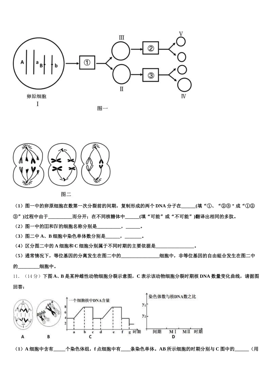 2025届河北省辛集中学高一生物第二学期期末考试模拟试题含解析_第3页