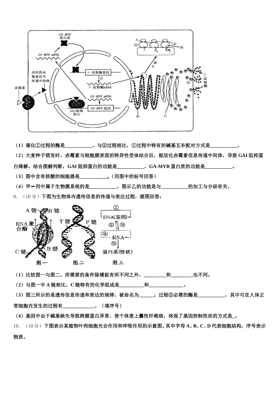 河北省迁西一中2025年高一生物第二学期期末考试试题含解析_第3页