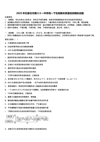 2025年石家庄市第八十一中学高一下生物期末质量检测模拟试题含解析