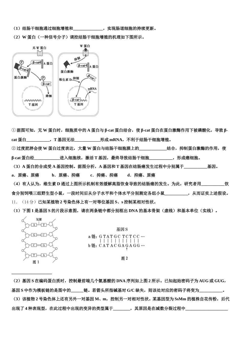 河北省保定一中2024-2025学年生物高一下期末联考模拟试题含解析_第3页