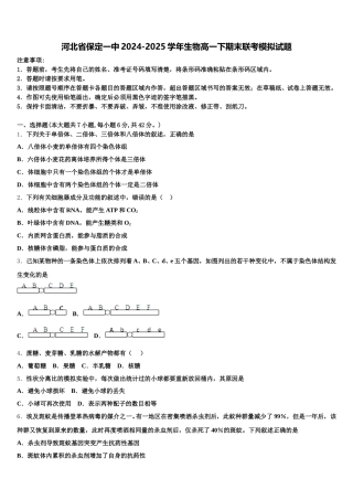 河北省保定一中2024-2025学年生物高一下期末联考模拟试题含解析