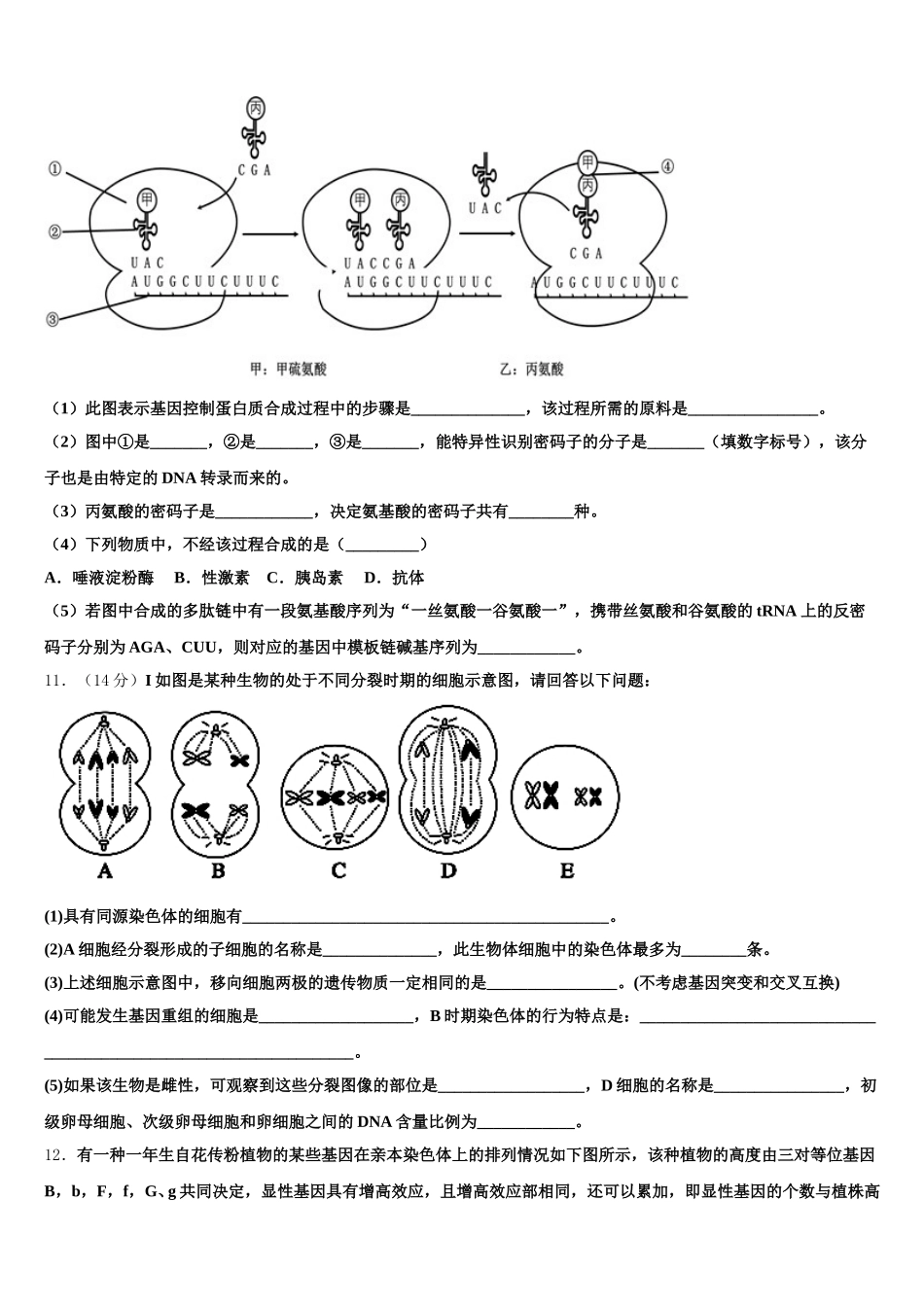 2025届河北省唐山市唐山第一中学高一下生物期末调研试题含解析_第3页