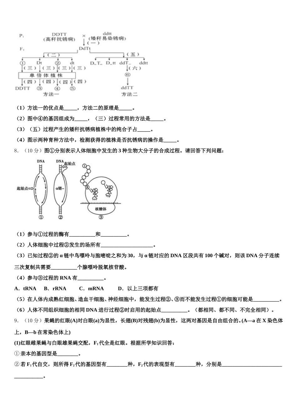 2025年河北省承德市第八中学生物高一下期末调研模拟试题含解析_第2页