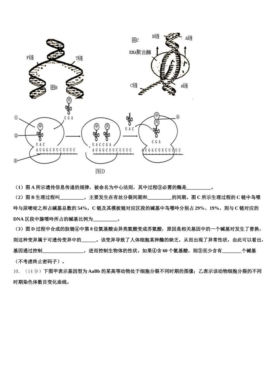 河北廊坊五校2025届高一下生物期末达标测试试题含解析_第3页