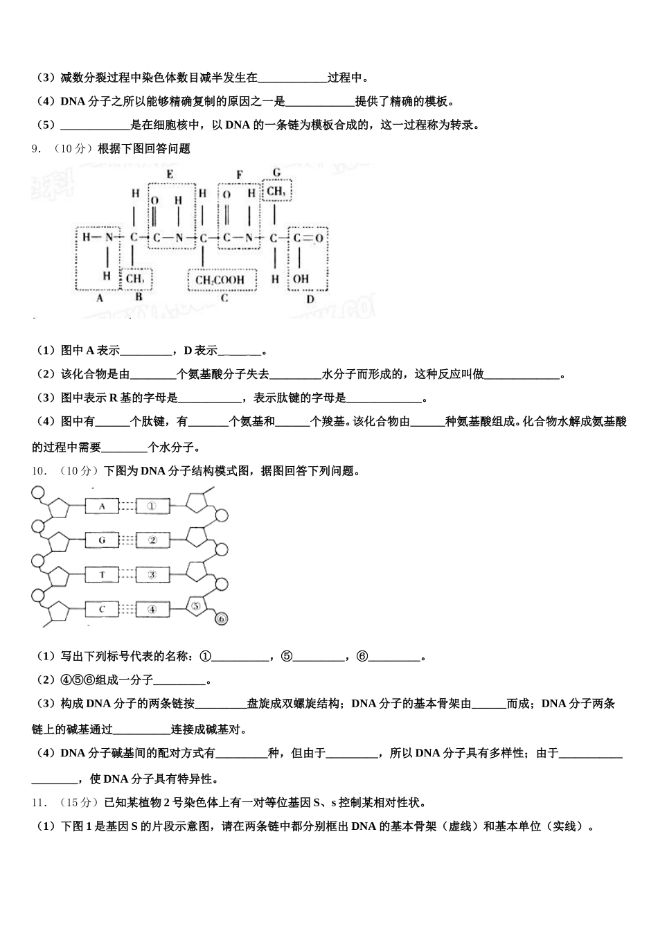 河北省秦皇岛市卢龙县2025届高一下生物期末质量跟踪监视模拟试题含解析_第3页